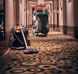 carpet-cleaning-services-brisbane